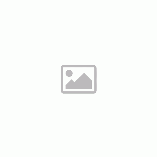 Funko pop! Black Panther Wakanda Forever  Nakia 9 cm (1101)
